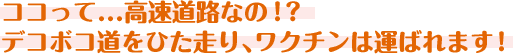 ココって...高速道路なの!? デコボコ道をひた走り、ワクチンは運ばれます!