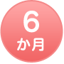 6か月